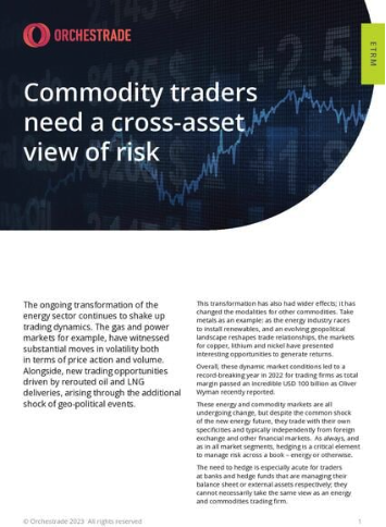 Commodity traders view of risk